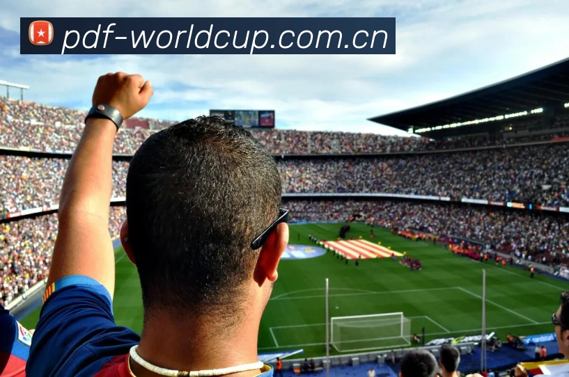 2026世界杯 App 多端展示图