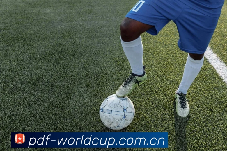 2026世界杯 App界面演示